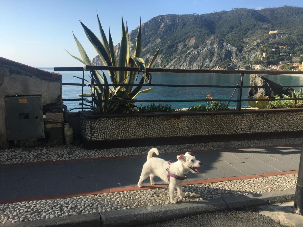 Le Cinque Vele ***** Cinque Terre Appartement Monterosso al Mare Buitenkant foto